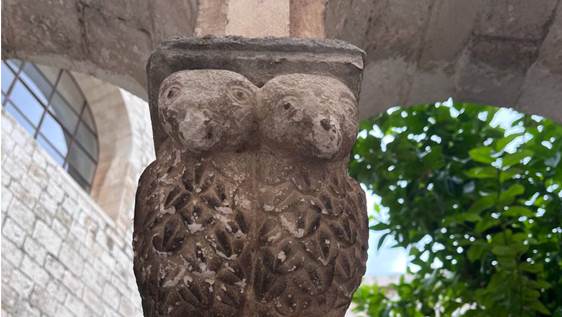 GEP 2022 Flora e fauna in arte a Conversano